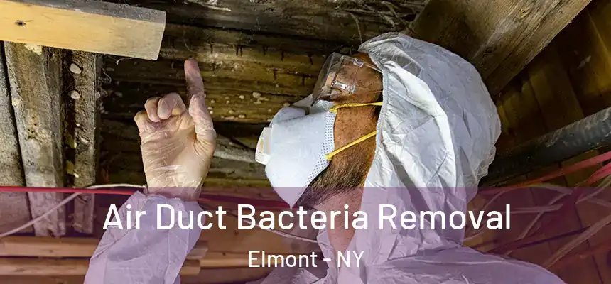  Air Duct Bacteria Removal Elmont - NY