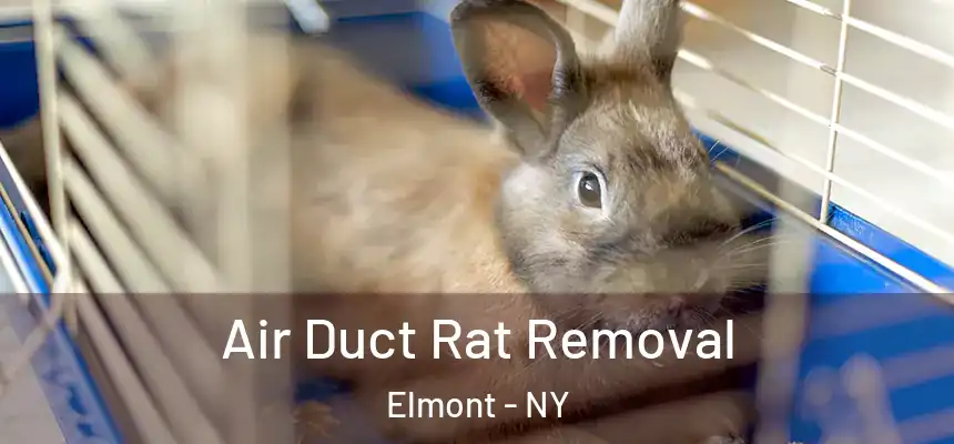  Air Duct Rat Removal Elmont - NY