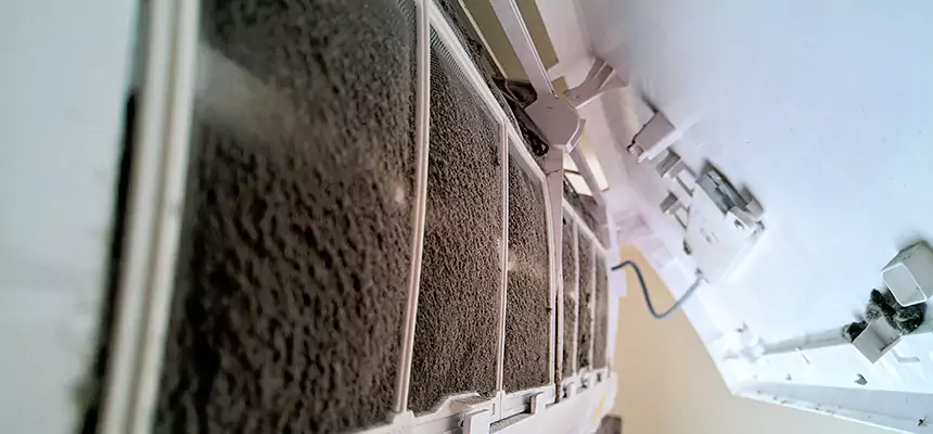 Preventive Air Duct Bacteria Removal in Elmont