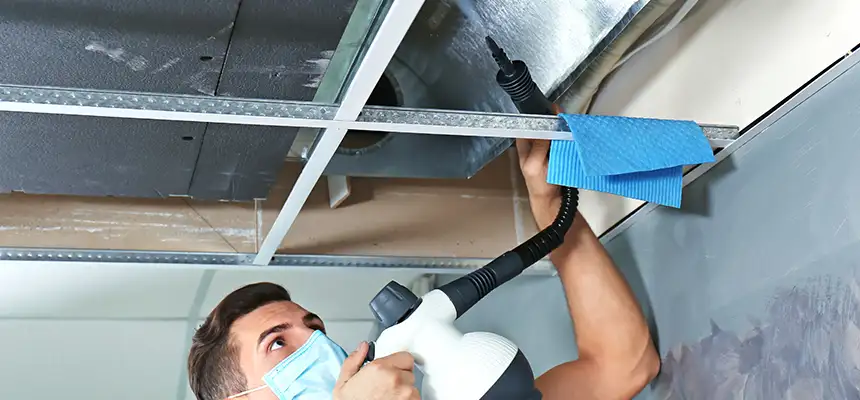 Our Air Duct Rodent Removal Services in Elmont, NY