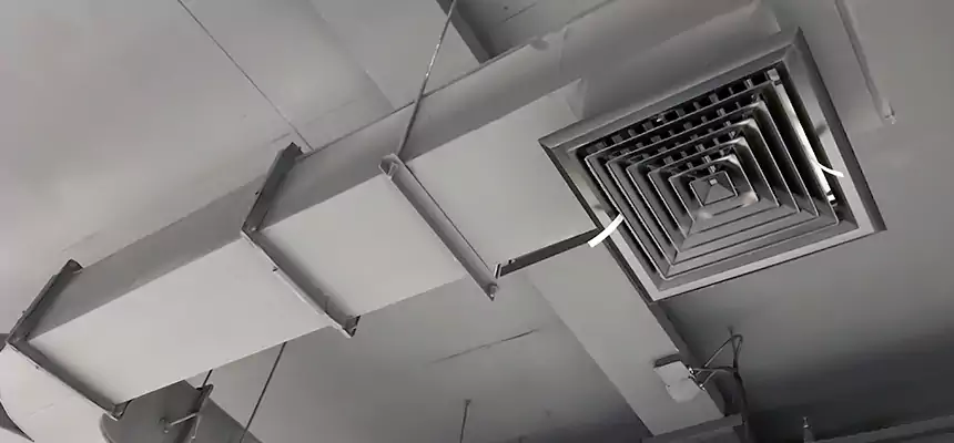 Restorative Allergy Relief Vent Cleaning – Coil, Blower & Housing Detail in Elmont