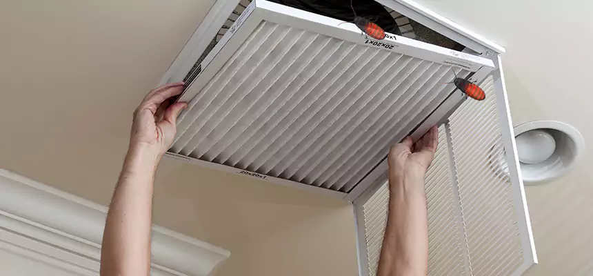 Our Insect Removal from Air Ducts Services in Elmont, NY