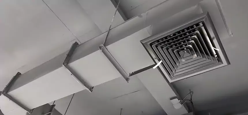 Our Pest Removal From Ducts Services in Elmont, NY