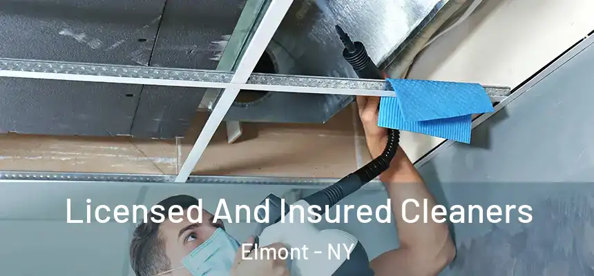  Licensed And Insured Cleaners Elmont - NY