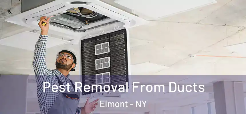  Pest Removal From Ducts Elmont - NY
