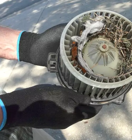 About Air Duct Mice Removal in Elmont, NY