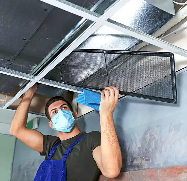 Why Homeowners Businesses Trust Us in Elmont, NY