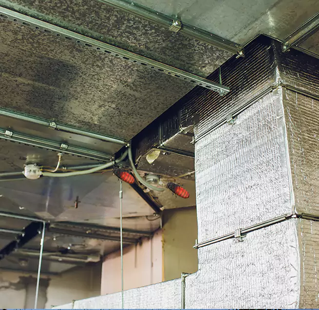 Why Homeowners & Businesses Trust Us Elmont, NY?