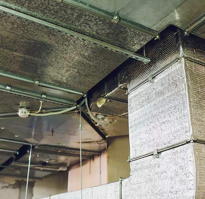 Why Homeowners & Businesses Trust Us in Elmont, NY?